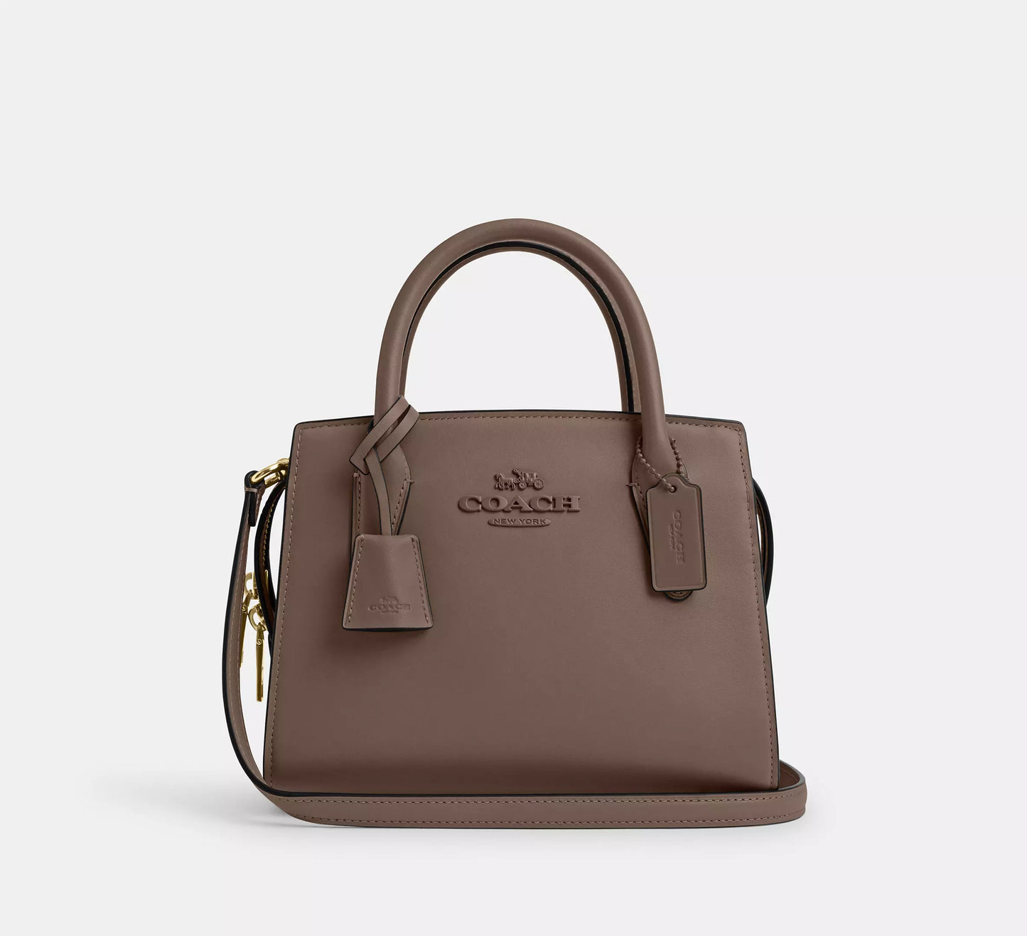 Coach Andrea Carryall Bag